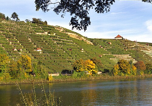 Württemberg (wine region)